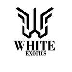 من وكيل معتمد