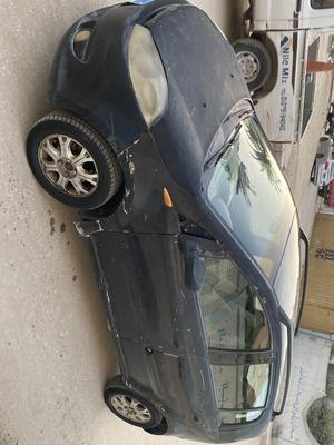 Speranza A113 2011