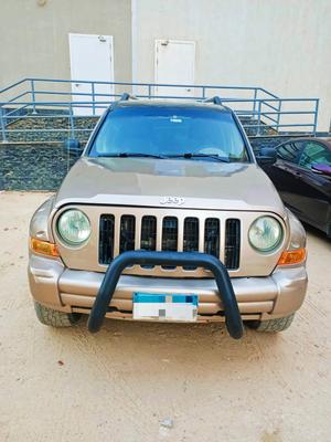 جيب ليبيرتى 2006