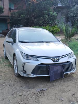 Toyota Corolla 2019