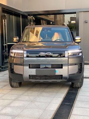 بى واى دى‬ ليوبارد 7 2027