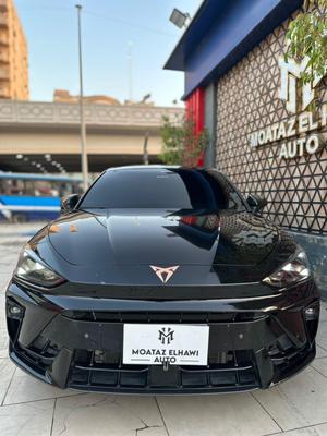 كوبرا ليون 2025