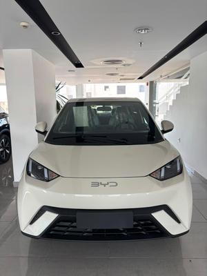Byd Dolphin 2027