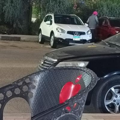 نيسان قشقاي 2013