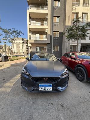 كوبرا ليون 2024
