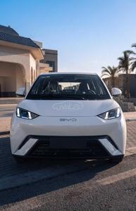 Byd Seagull 2025