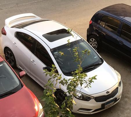 Kia K3 2013