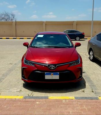 Toyota Corolla 2019