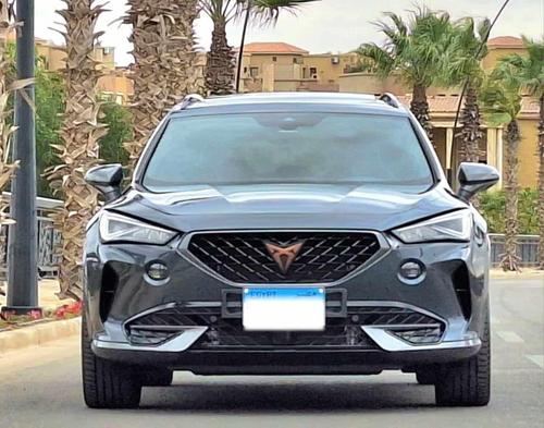 كوبرا فورمينتور 2023
