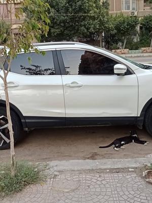 Nissan Qashqai 2019