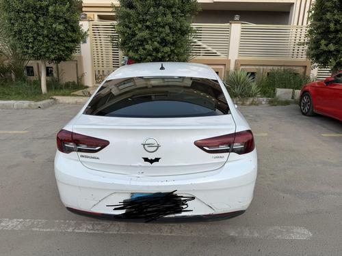 اوبل أنسيجنيا 2019