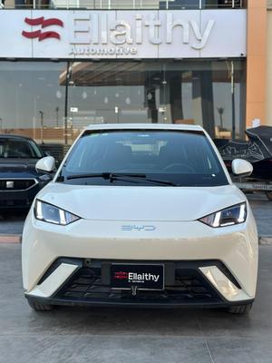 بى واى دى‬ سيجال 2025