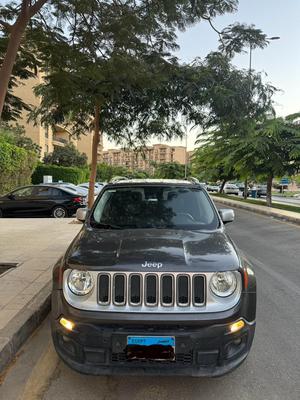 جيب رينيجيد 2017