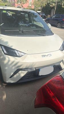 بى واى دى‬ سيجال 2025