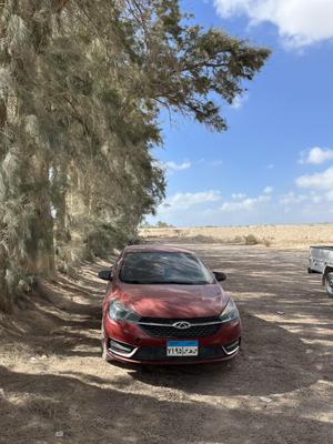 شيرى اريزو 5 2021