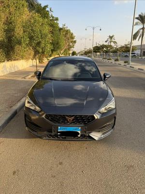كوبرا ليون 2024
