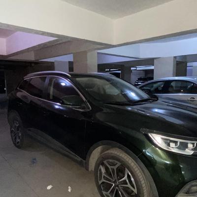 رينو كادجار 2019