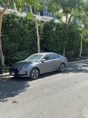 سكودا اوكتافيا A8 2025