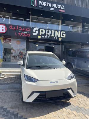 بى واى دى‬ دولفن 2027