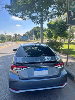 Toyota Corolla 2019