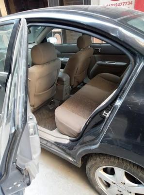 Speranza A516 2009