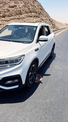 Zotye Other 2020