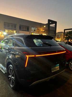 Dongfeng Venucia Star 2023