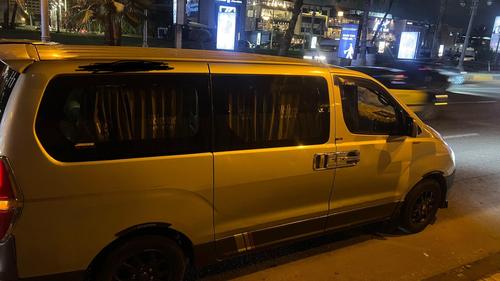 Hyundai H1 2009