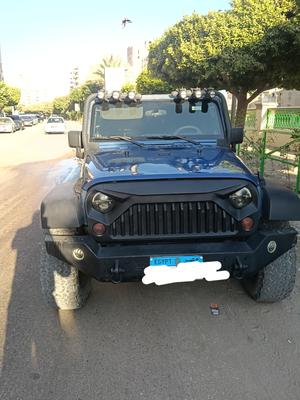 جيب جراند واجونير 2010