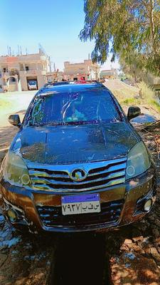 جريت وول هوفر 2011