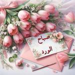  MOHAMED 