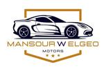Mansour W Elgeo